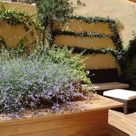 Bed & Breakfast Guerrazzi Pisa
